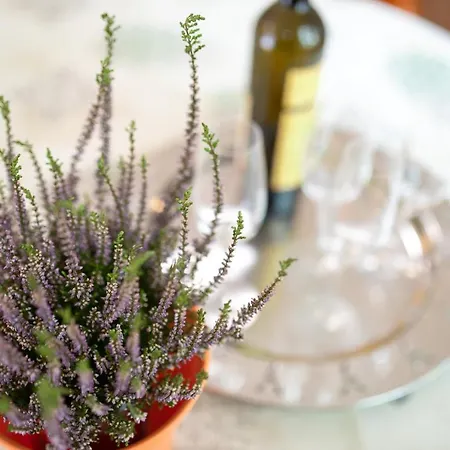 Villamarebaska Διαμέρισμα